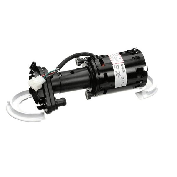 Water Pump Assembly